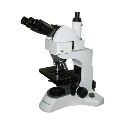 Biological Microscope : Biological Microscope LBM-F20