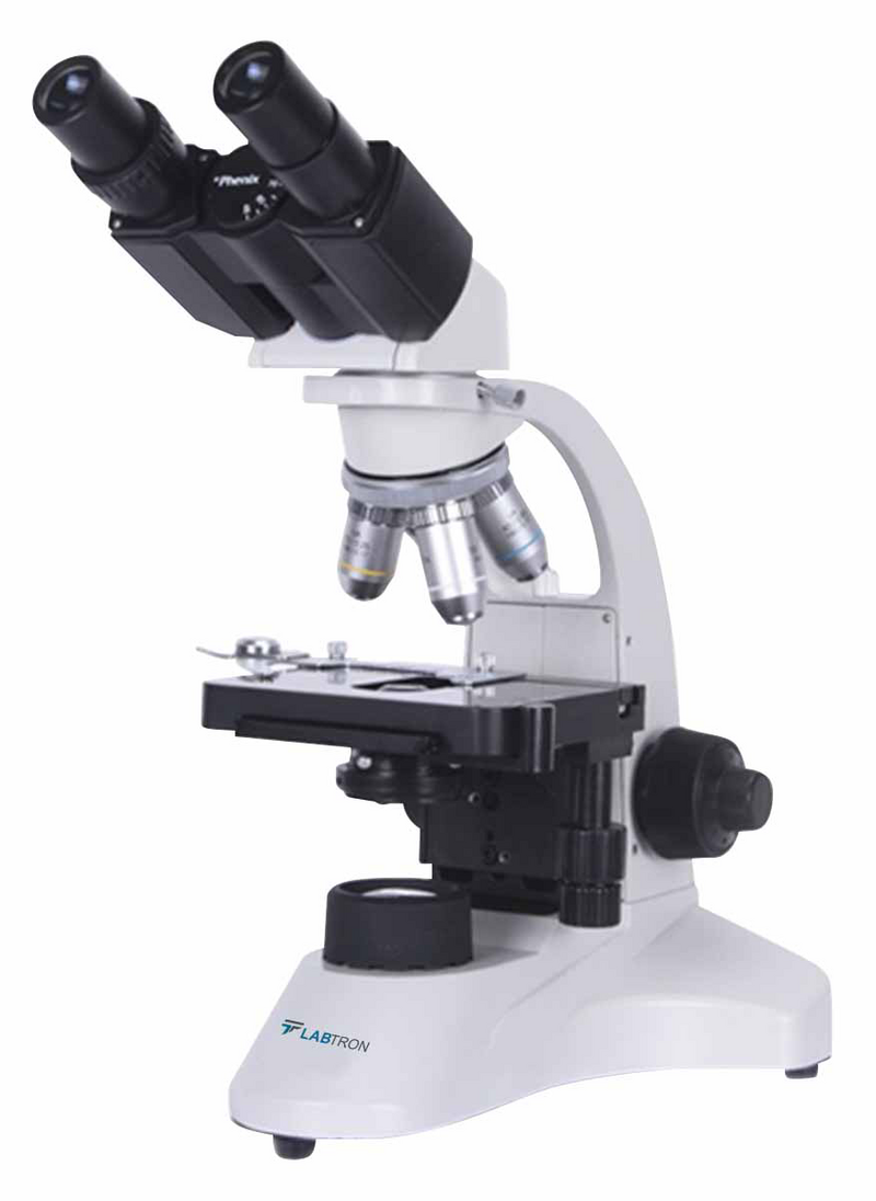 Biological Microscope : Biological Microscope LBM-D10
