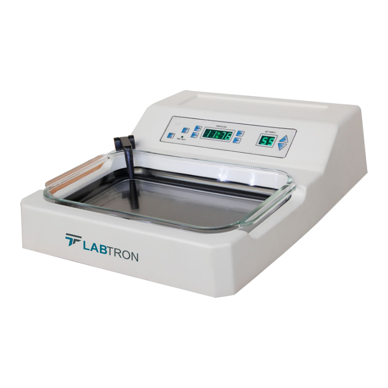 Tissue Flotation Water Bath : Flotation Water Bath LFWB-A10