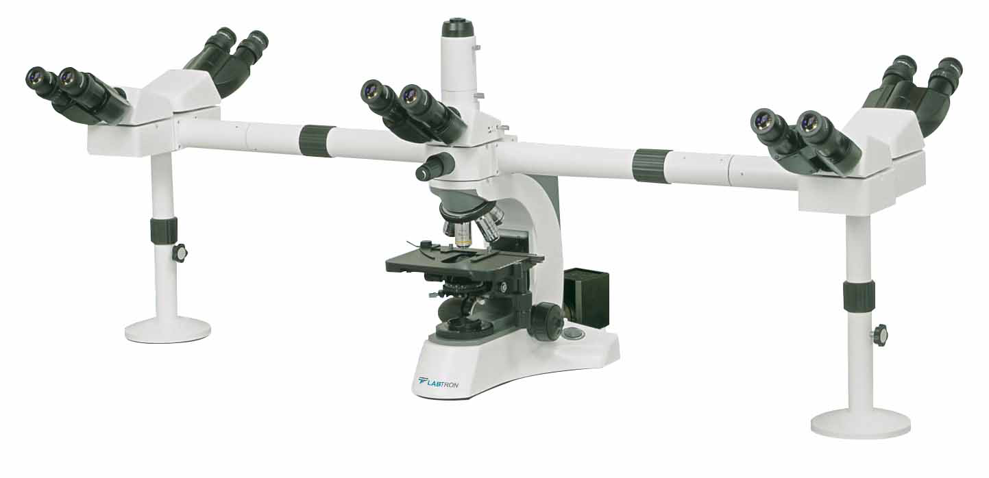 Multi-Viewing Microscope : Multi-Viewing Biological Microscope LMB-B10