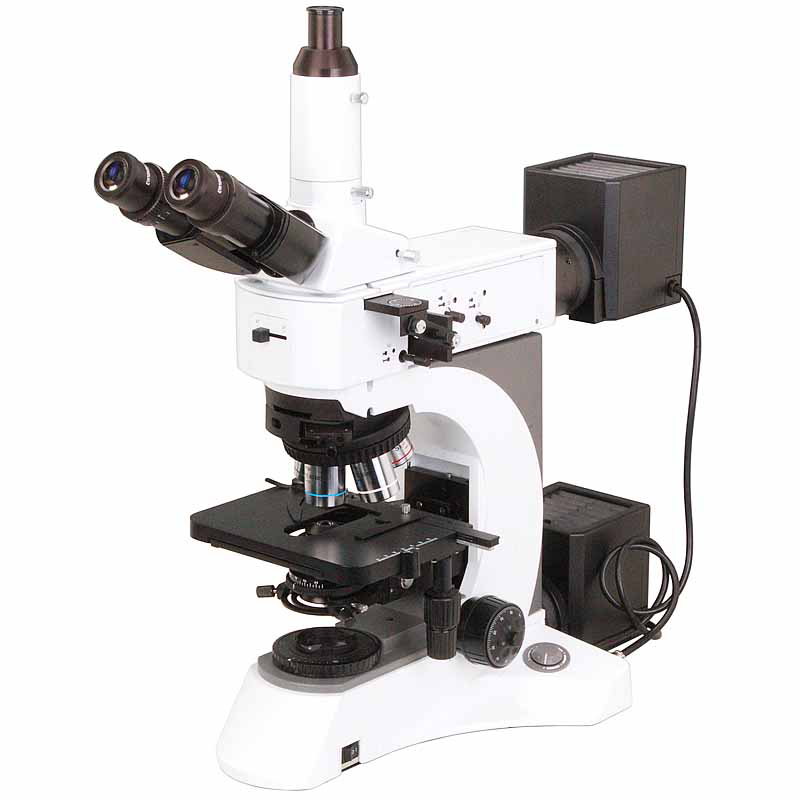 Metallurgical Microscope : Upright Metallurgical microscopes LMM-B12
